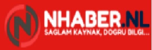 N Haber Logo